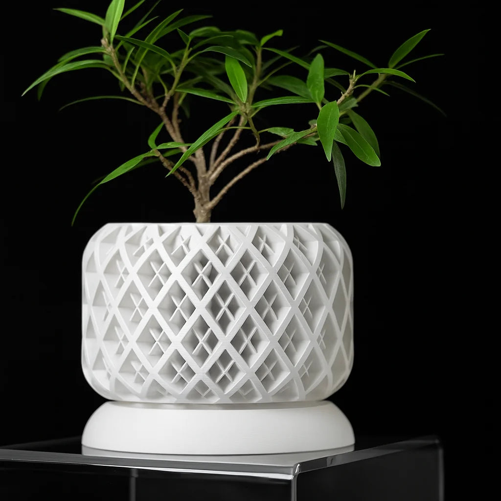 3D Printed Biodegradable Irregular Geometry Flower Pot - Textured Linear bonsai pots for Home Decoration & Gift (Eco-Friendly)