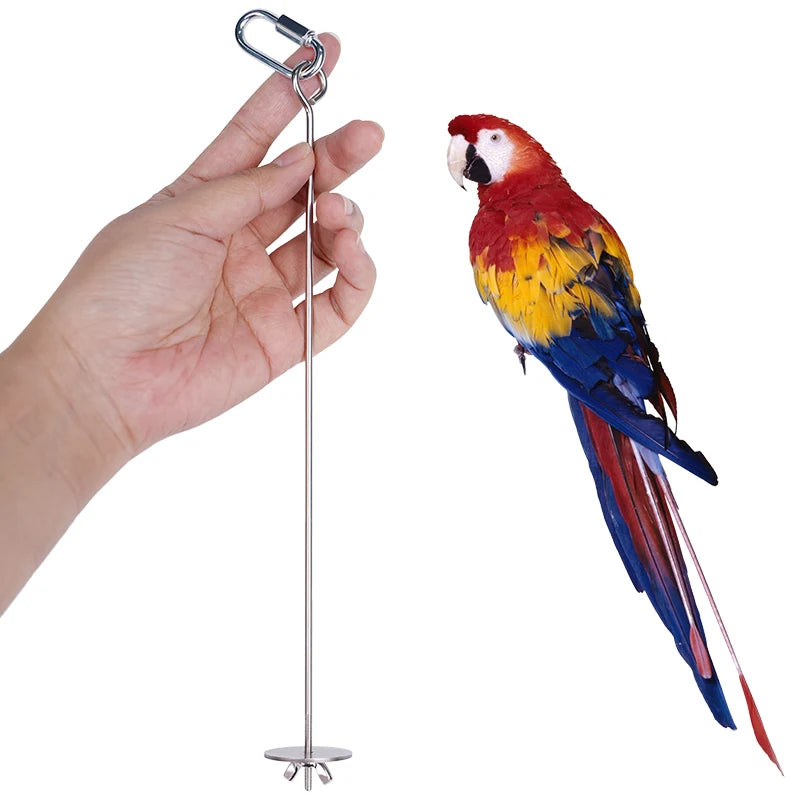 Parrot Stainless Steel Fruit Fork Apple Fork Toy Bird Cage Supplies Bird Fruit Insert Feeder Pet Parrot Accessories Bird Feeder