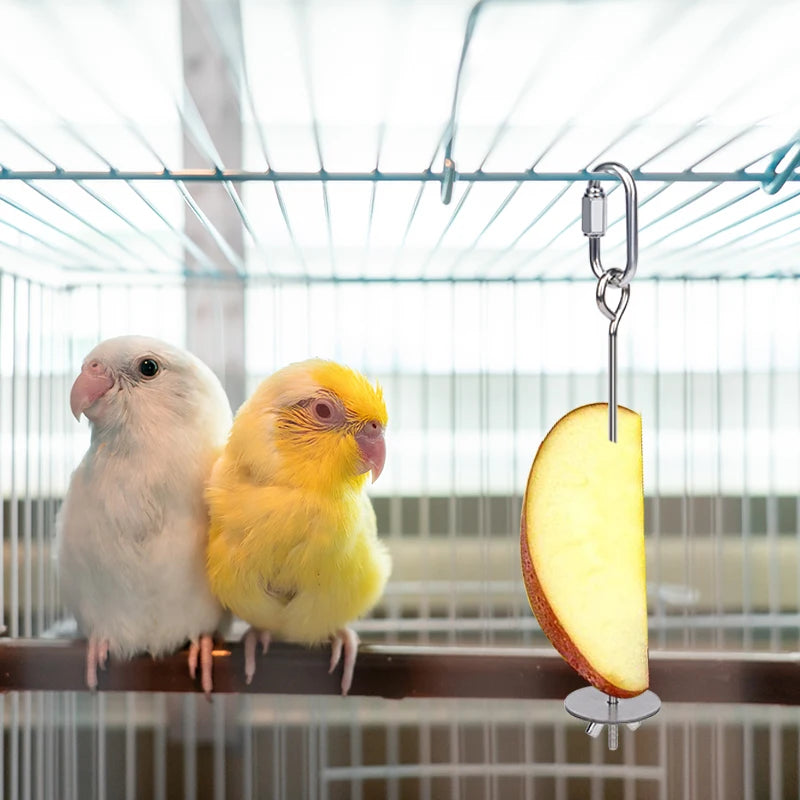 Parrot Stainless Steel Fruit Fork Apple Fork Toy Bird Cage Supplies Bird Fruit Insert Feeder Pet Parrot Accessories Bird Feeder