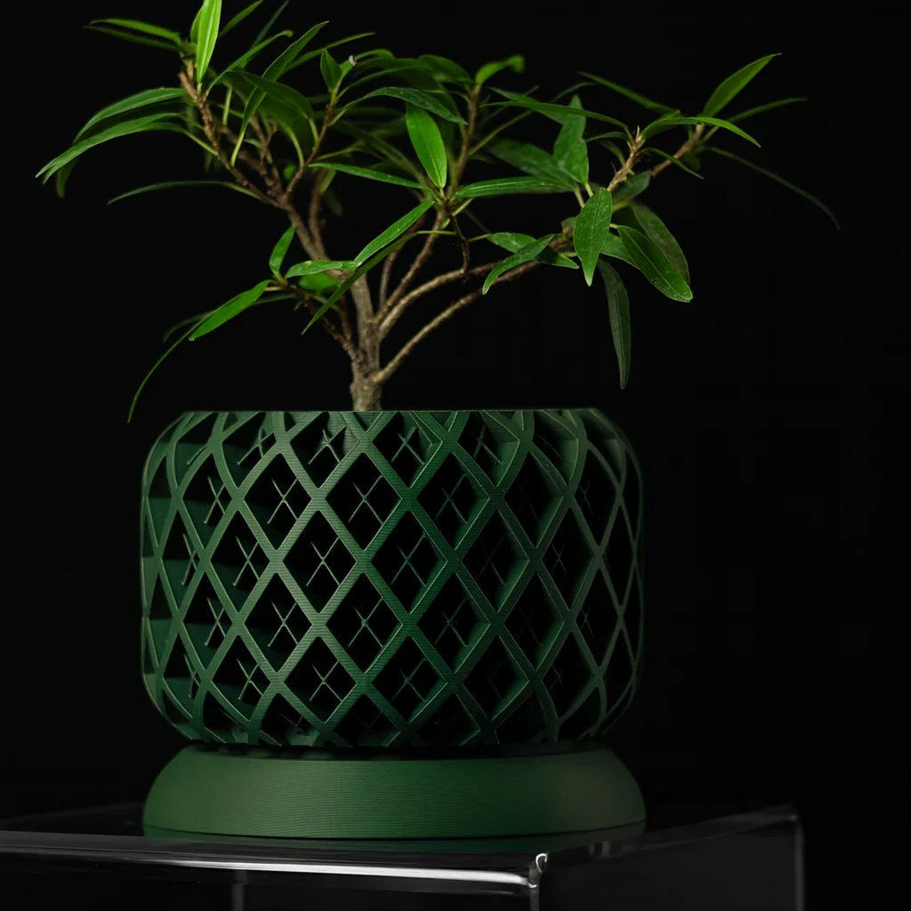 3D Printed Biodegradable Irregular Geometry Flower Pot - Textured Linear bonsai pots for Home Decoration & Gift (Eco-Friendly)