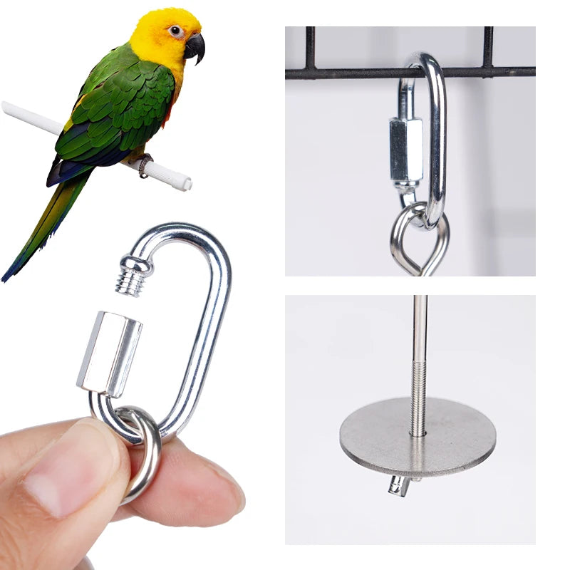 Parrot Stainless Steel Fruit Fork Apple Fork Toy Bird Cage Supplies Bird Fruit Insert Feeder Pet Parrot Accessories Bird Feeder