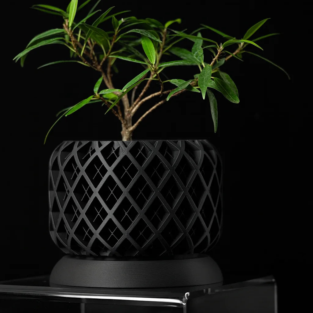 3D Printed Biodegradable Irregular Geometry Flower Pot - Textured Linear bonsai pots for Home Decoration & Gift (Eco-Friendly)