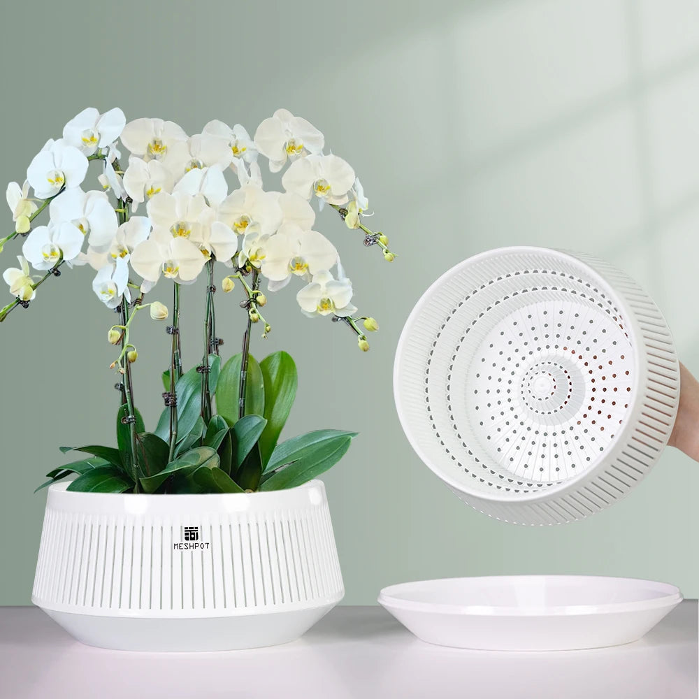 Meshpot Orchid Pot with Holes Plastic Flower Pot Decorative African Violet Pots with Air-Pruning and Good Air Circulation