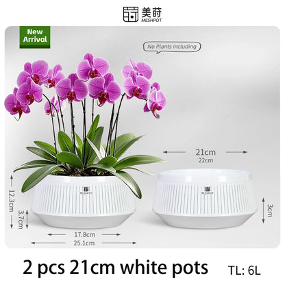 Meshpot Orchid Pot with Holes Plastic Flower Pot Decorative African Violet Pots with Air-Pruning and Good Air Circulation