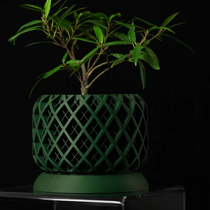 3D Printed Biodegradable Irregular Geometry Flower Pot - Textured Linear bonsai pots for Home Decoration & Gift (Eco-Friendly)