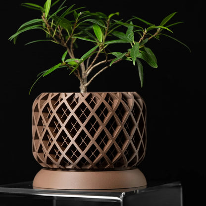 3D Printed Biodegradable Irregular Geometry Flower Pot - Textured Linear bonsai pots for Home Decoration & Gift (Eco-Friendly)