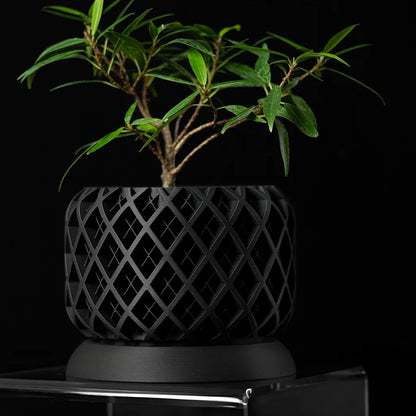 3D Printed Biodegradable Irregular Geometry Flower Pot - Textured Linear bonsai pots for Home Decoration & Gift (Eco-Friendly)