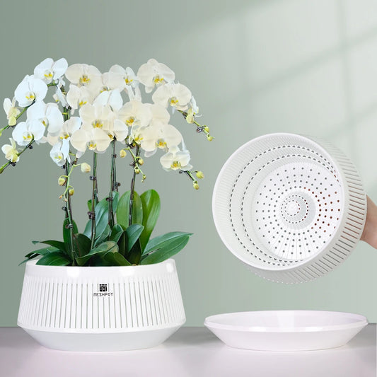Meshpot Orchid Pot with Holes Plastic Flower Pot Decorative African Violet Pots with Air-Pruning and Good Air Circulation